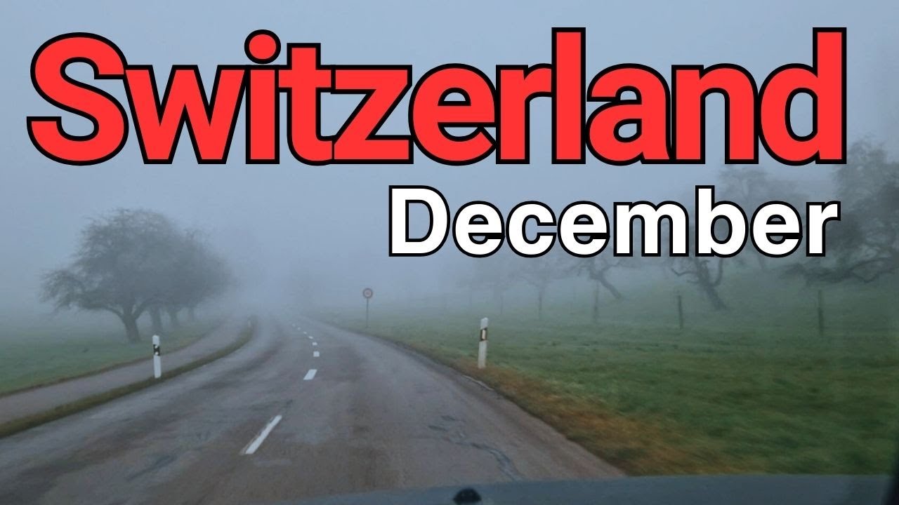 Winter Fog Drive in Switzerland