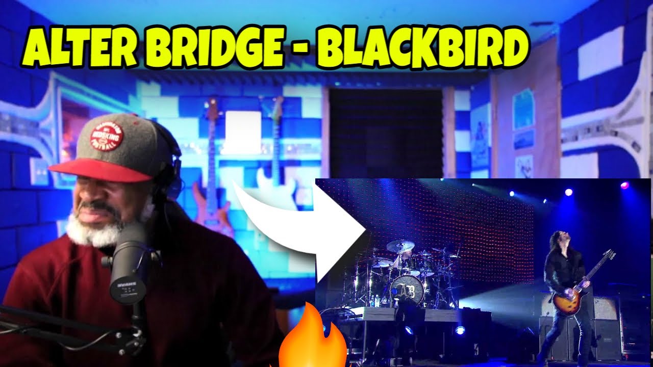 This Producer REACTS To Alter Bridge Live from Wembley - 