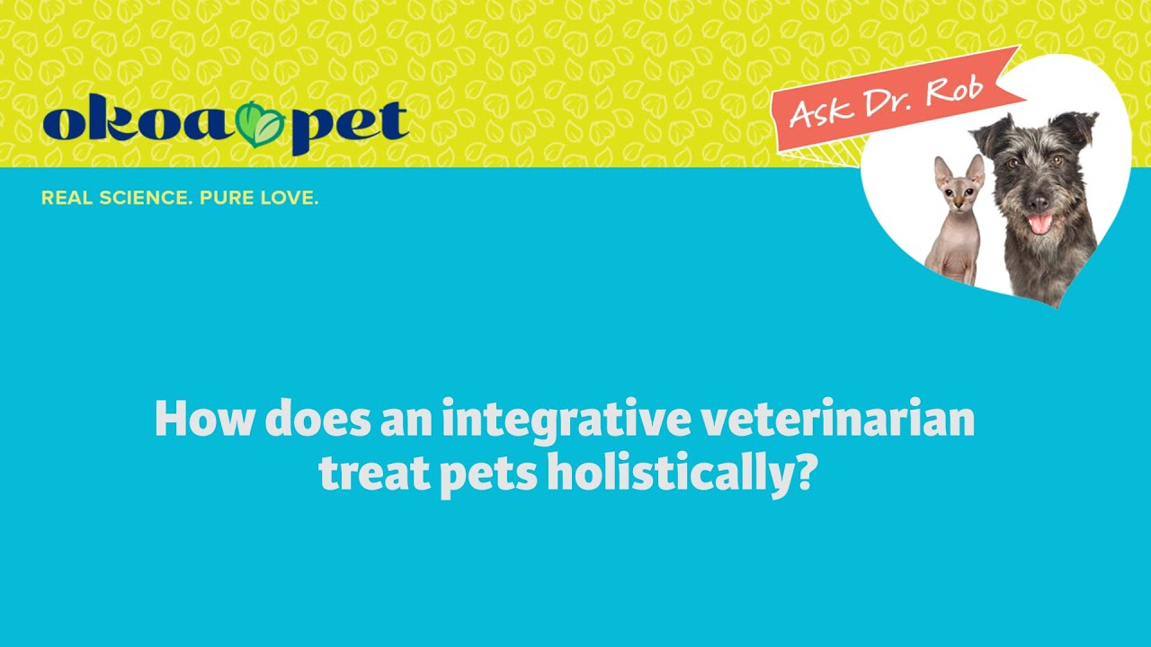 How does an integrative veterinarian treat pets holistically?