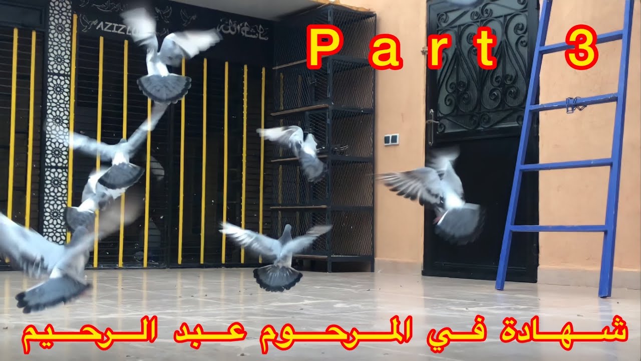 كلمة « عبد العزيز « صديق المرحوم “عبد الرحيم البيضة” + من ضمن أسباب رجوع 