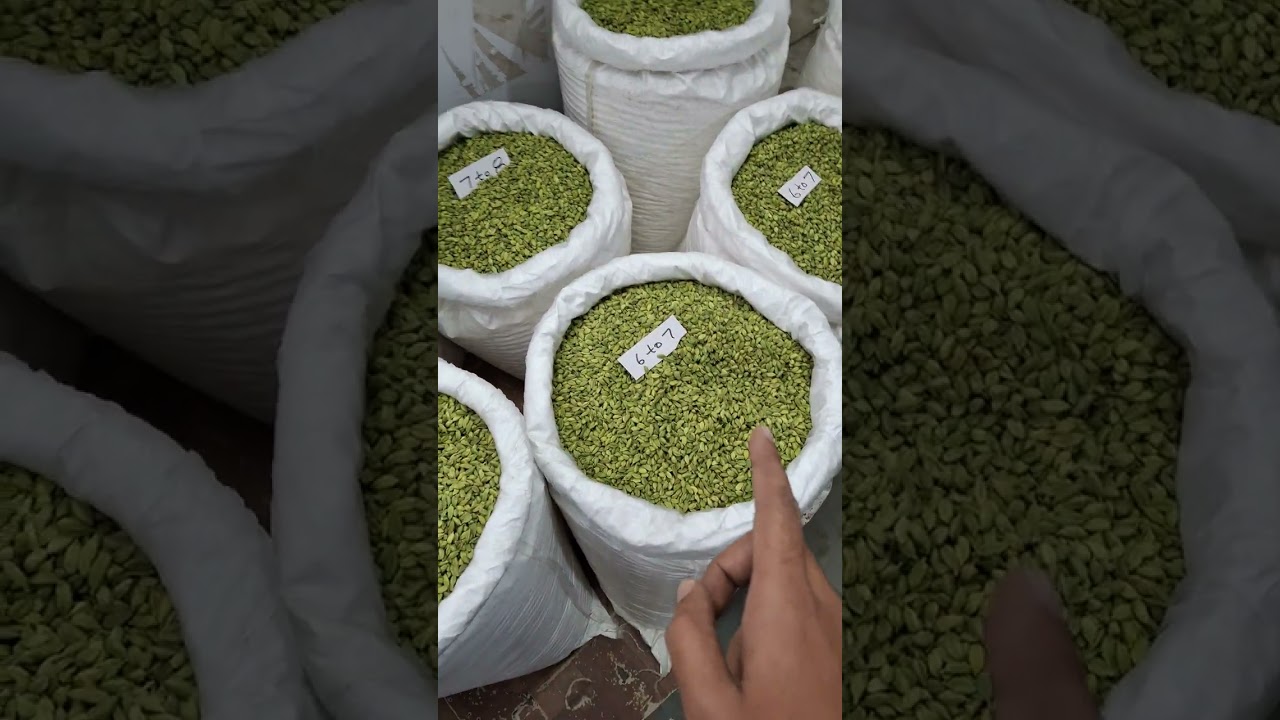 World's Best Cardamom( Elaichi) from Idukki District in Kerala, India