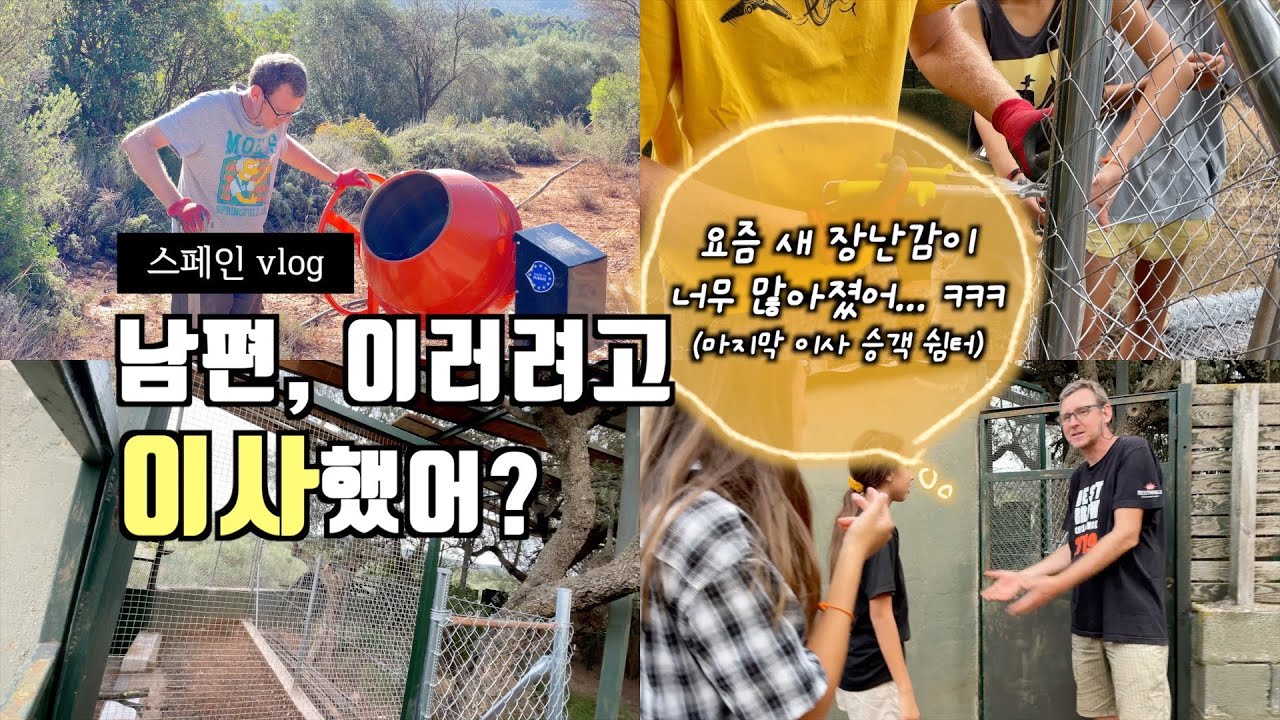 남편 새 장난감, 새 놀이터 보니 웃어야 할지, 울어야 할지 모르겠어요 😅