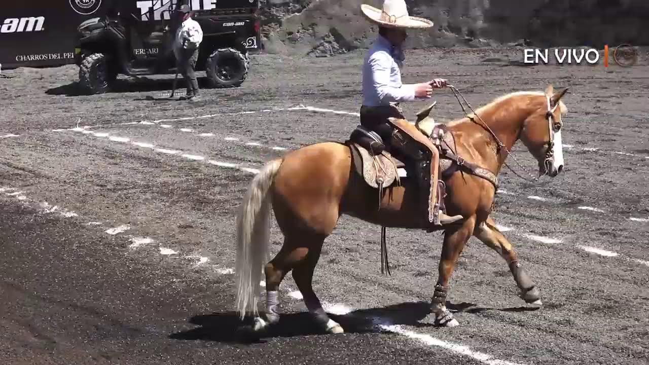 LXII ANIVERSARIO DE CHARROS DEL PEDREGAL PRIMER CHARREADA