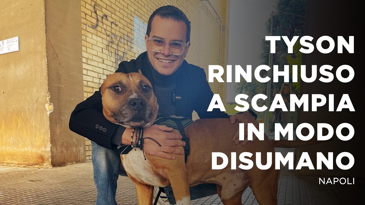 LA LIBERAZIONE DI TYSON RINCHIUSO A SCAMPIA