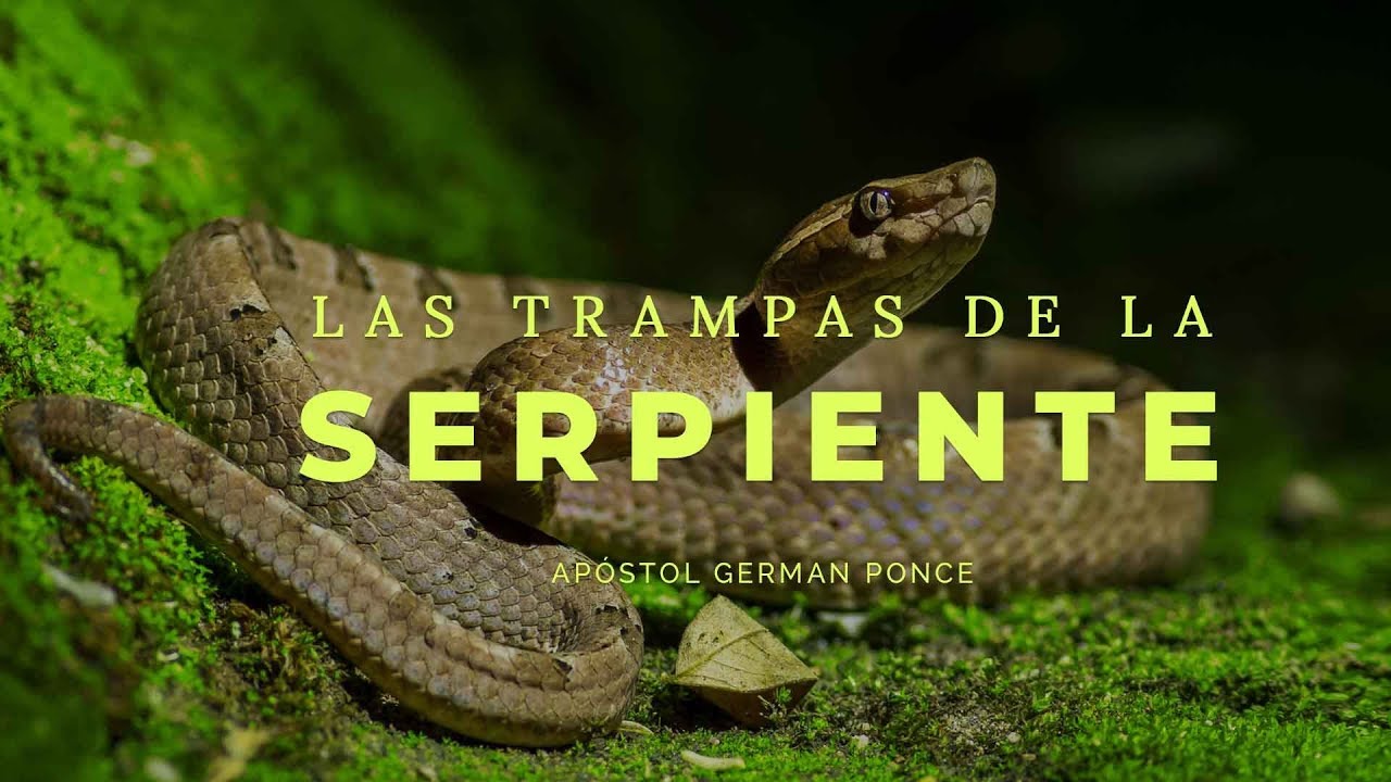 Apóstol German Ponce | Las Trampas De La Serpiente | viernes 08 de junio 2018