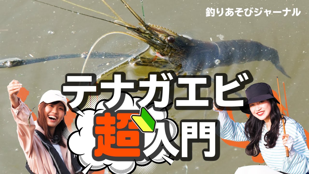 テナガエビ超入門。身近に楽しめる「釣って食べたい！」【釣りあそびジャーナル】