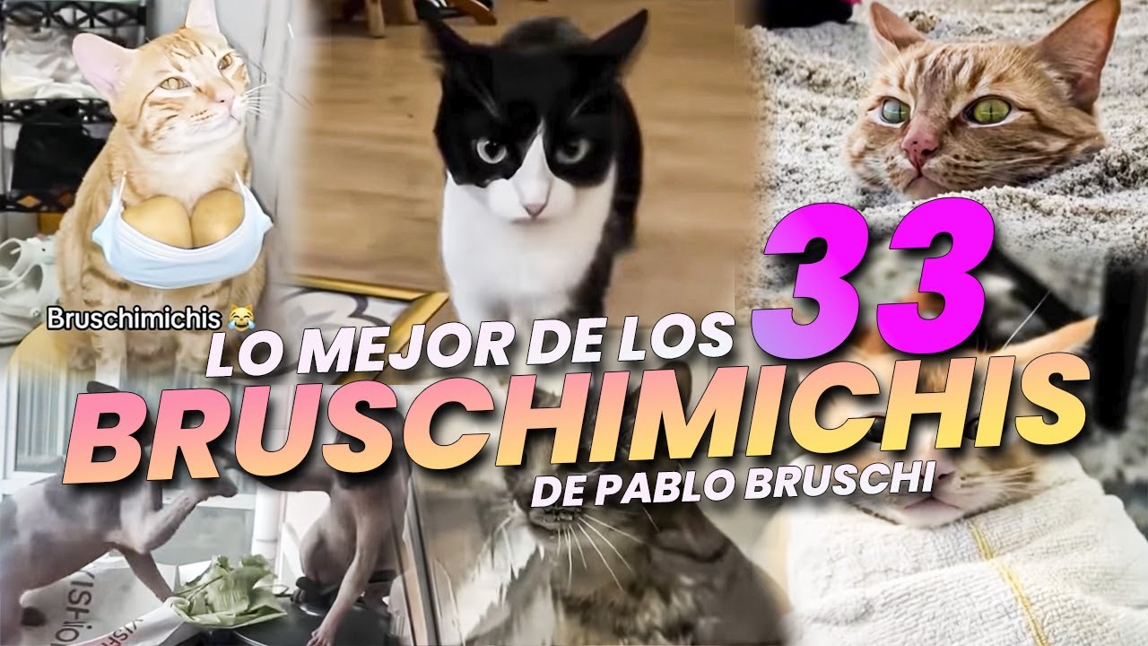 LO MEJOR DE LOS BRUSCHIMICHIS 33 - PABLO BRUSCHI
