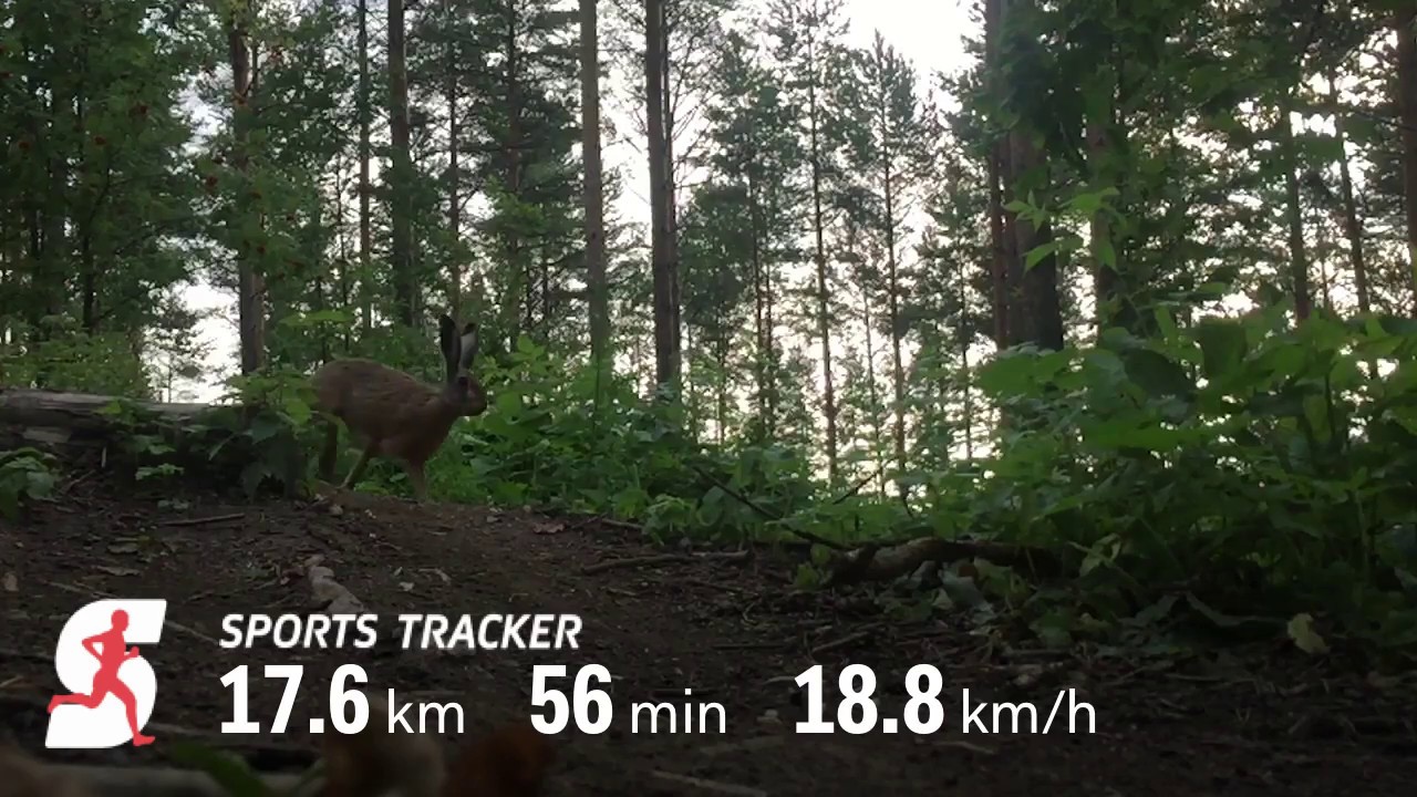 Sports Tracker user videos are here!