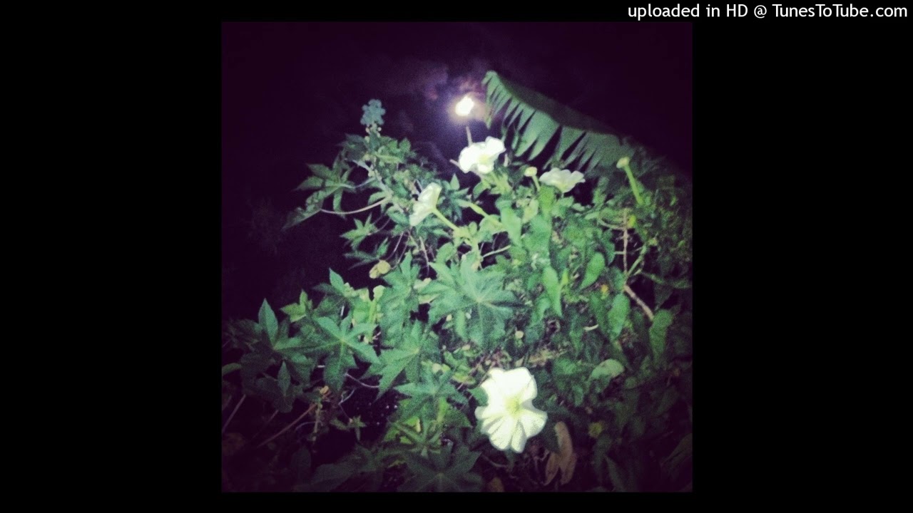 cru x xaviersobased type beat (prod. @sniffybeatz)