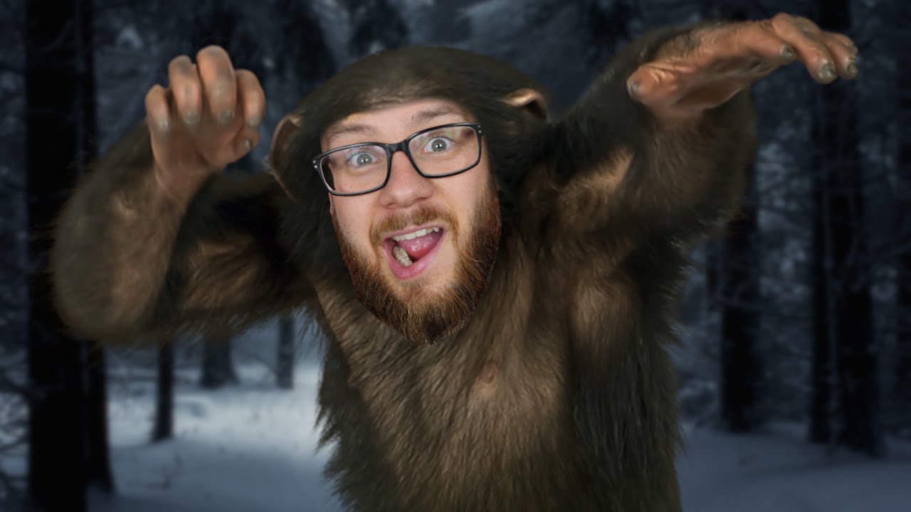 DZIKI ADMIROS Z LASU | BIGFOOT