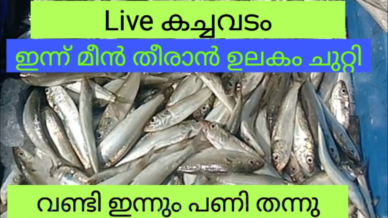 Live കച്ചവടം... ഇന്ന് മീൻ തീരാൻ ഉലകം ചുറ്റി... #fishing#fish#harbor #seafood #fishmarket 