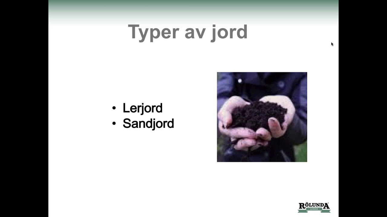 Jord i korthet