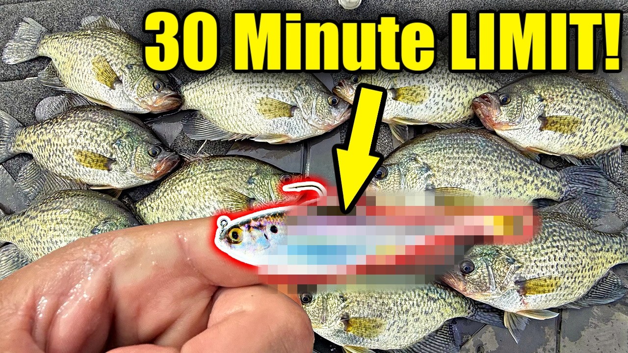 This New Lure Out Fishes Live Bait 10 To 1! (Best Crappie & Bass Winter Bait)