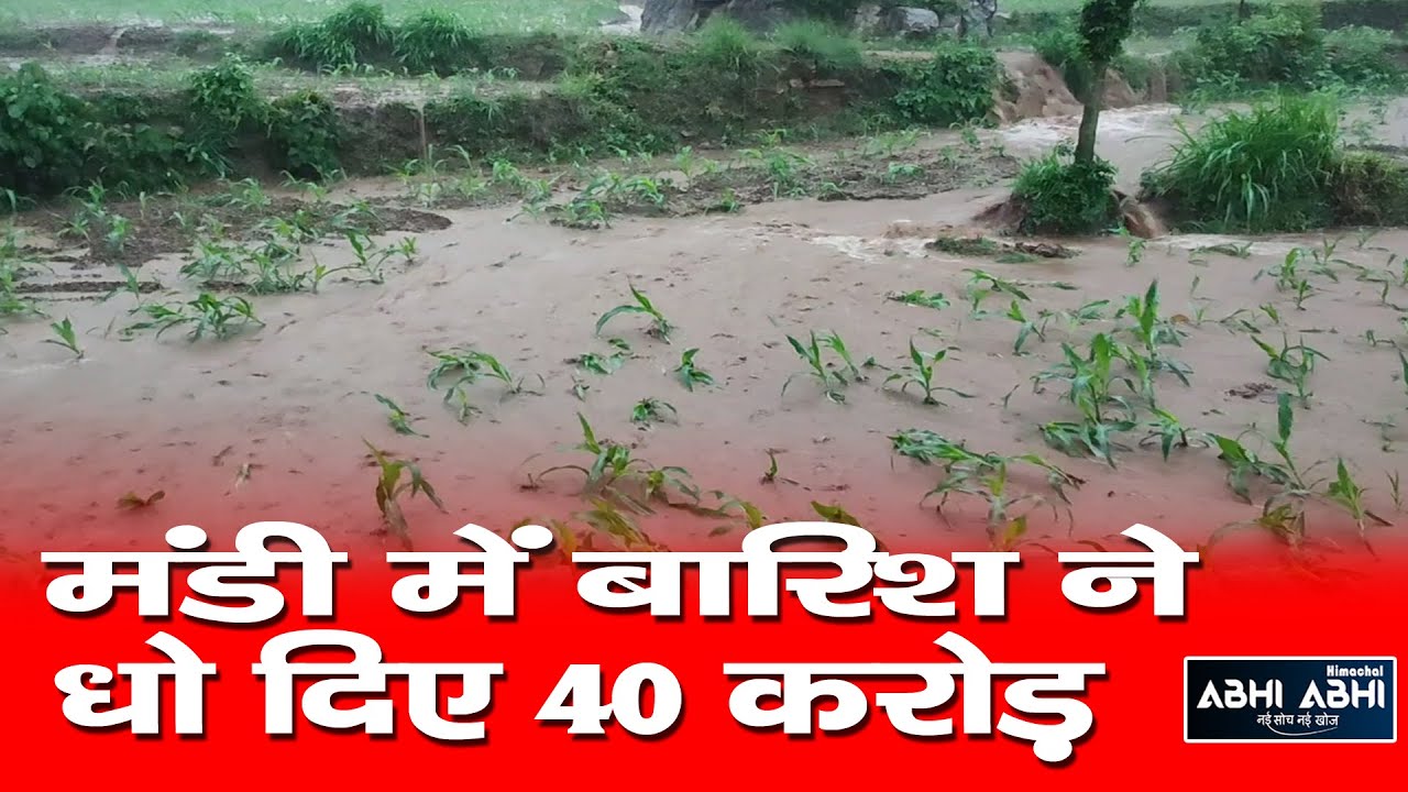 Rains and floods/Mandi/damage