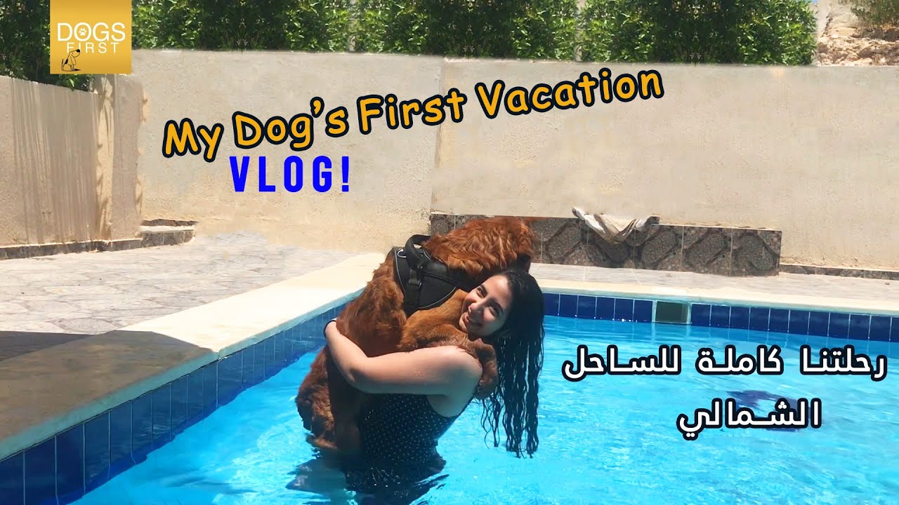 بابلو راح الساحل وانت لأ | My Dog Has a Beach House Vacation