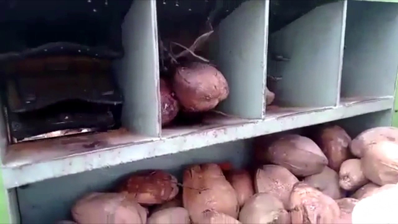 AUTOMATIC COCONUT DEHUSKING MACHINE  CD 1500