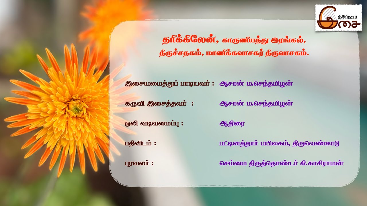 தரிக்கிலேன், காருணியத்து இரங்கல், திருச்சதகம், மாணிக்கவாசகர் திருவாசகம்.