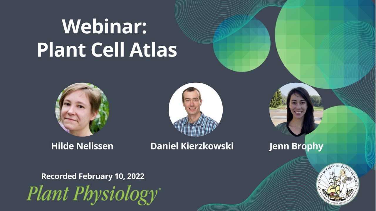 Plant Physiology Webinar: Highlighting Focus Issue on Plant Cell Atlas, Feb. 2022