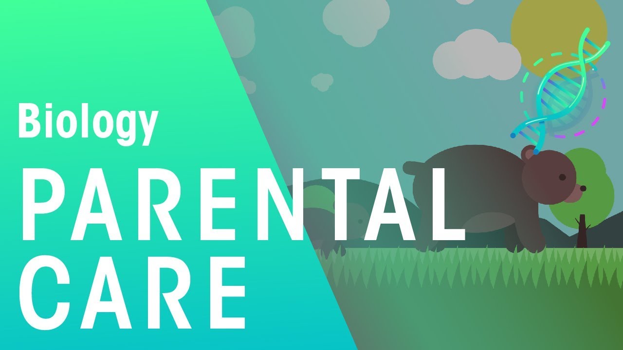 Parental Care | Ecology and Environment | Biology | FuseSchool