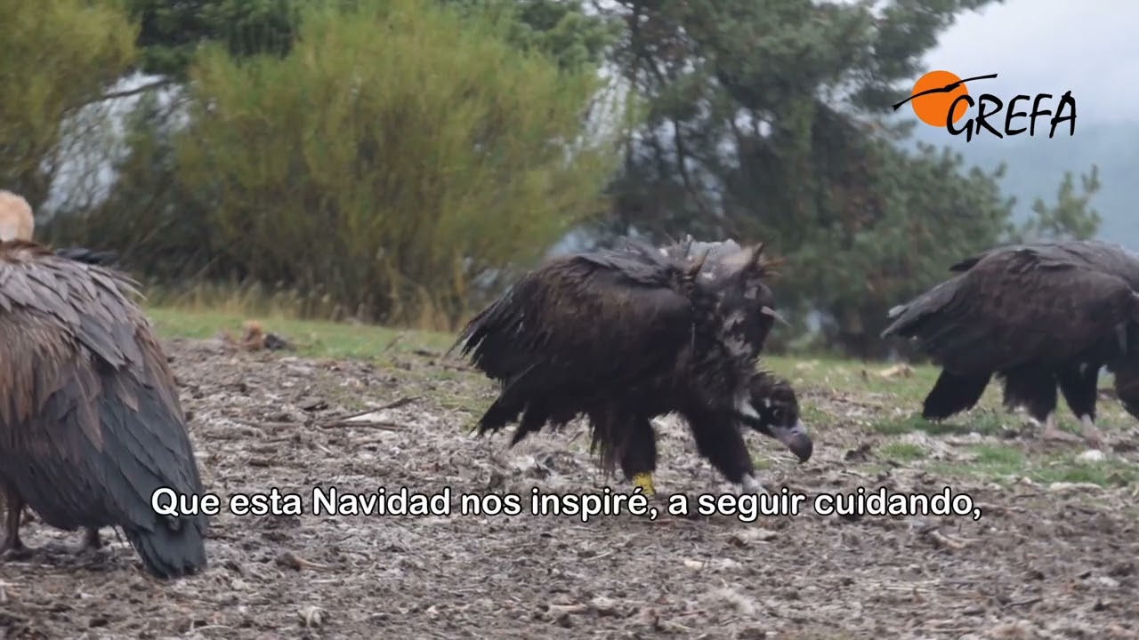 ¡Por un 2026 lleno de biodiversidad!