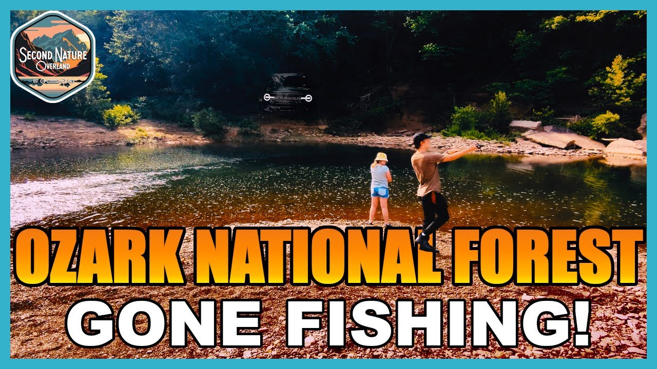Destination: Big Piney Creek in the Ozark National Forest (New Ford Bronco)