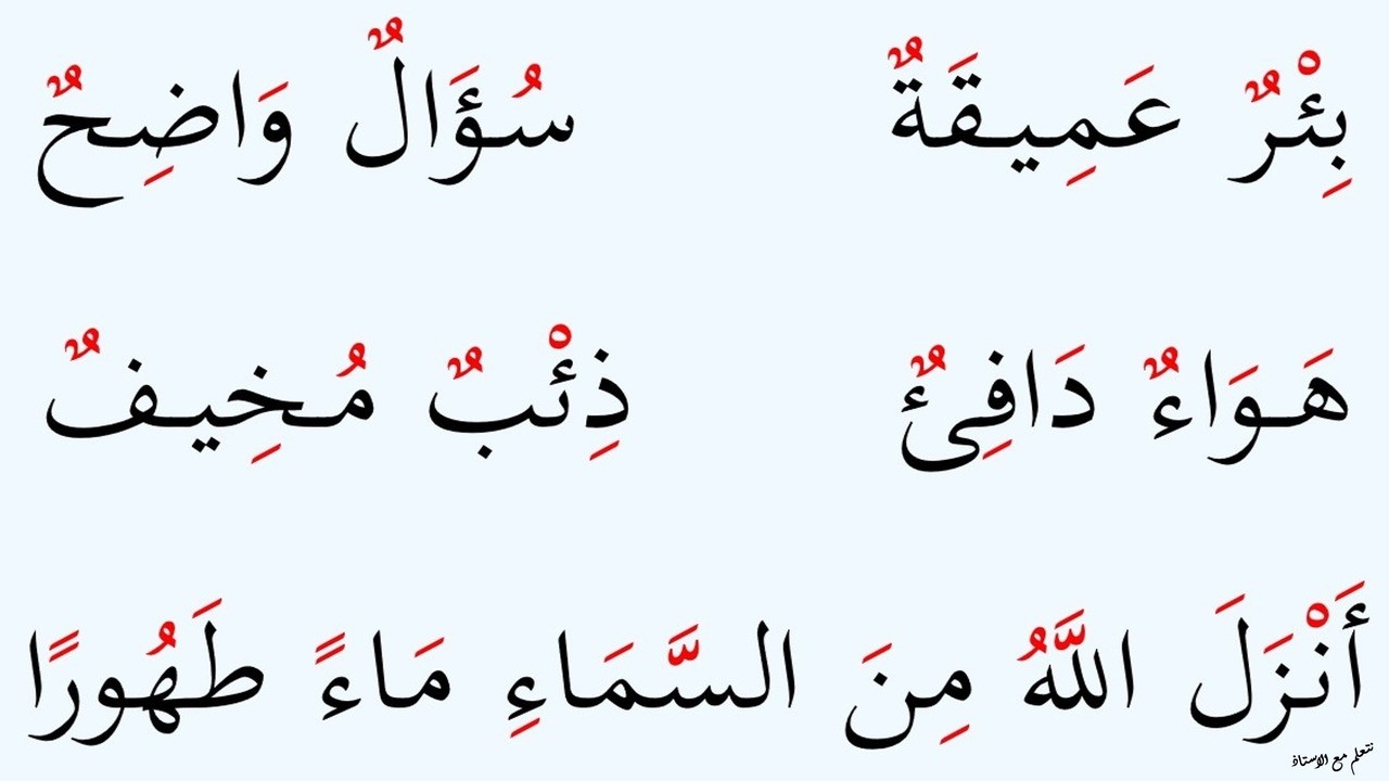 نتعلم قراءة جمل تشتمل على الشدة و التنوين و الهمزة في مواضع مختلفة | الحلقة : ٣٩١