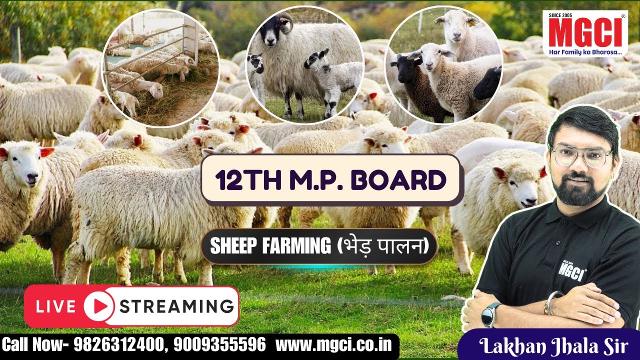 12th MP Board Live Class for Agri. Students :: Animal Husbandry :: SHEEP FARMING