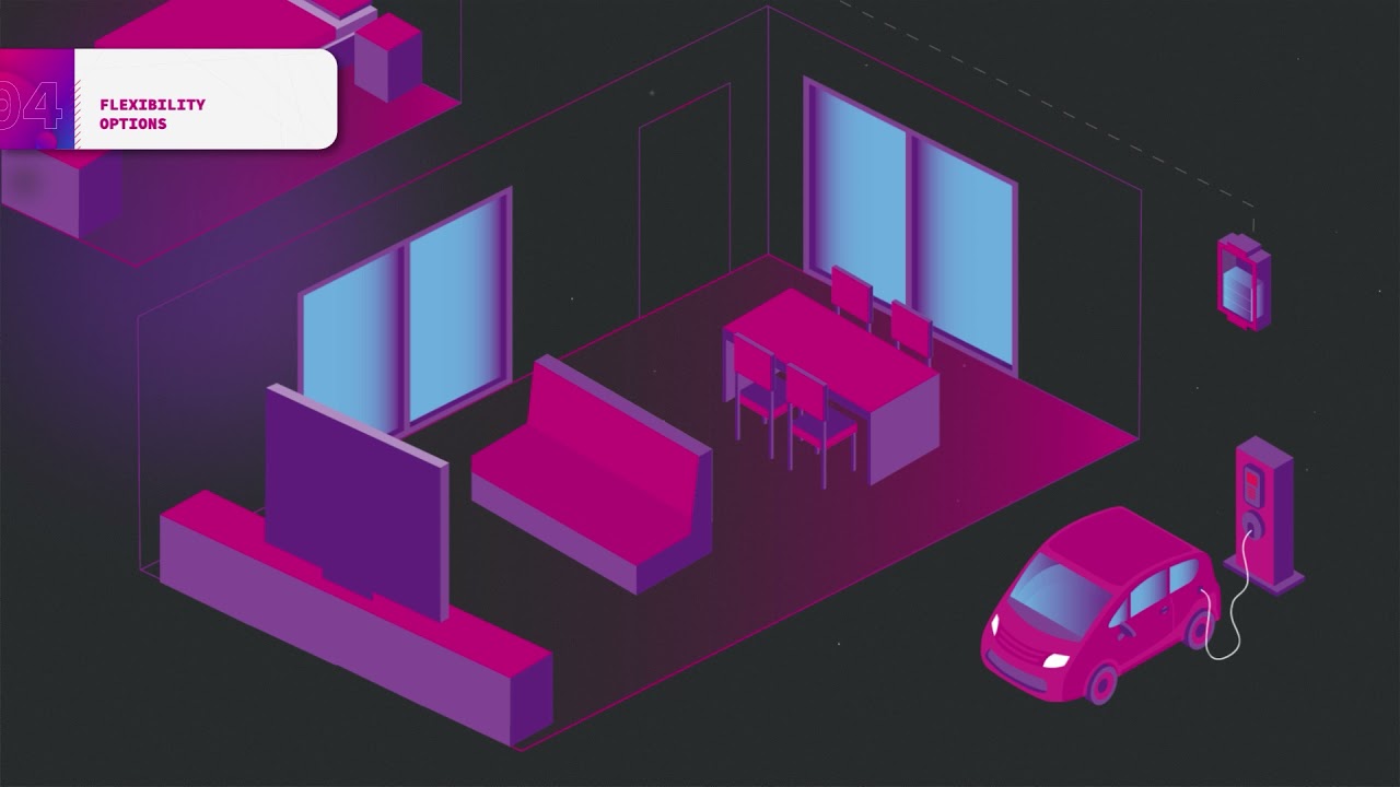 Challenge and Context: Common Principles and Concepts of Smart Grids (for experts)