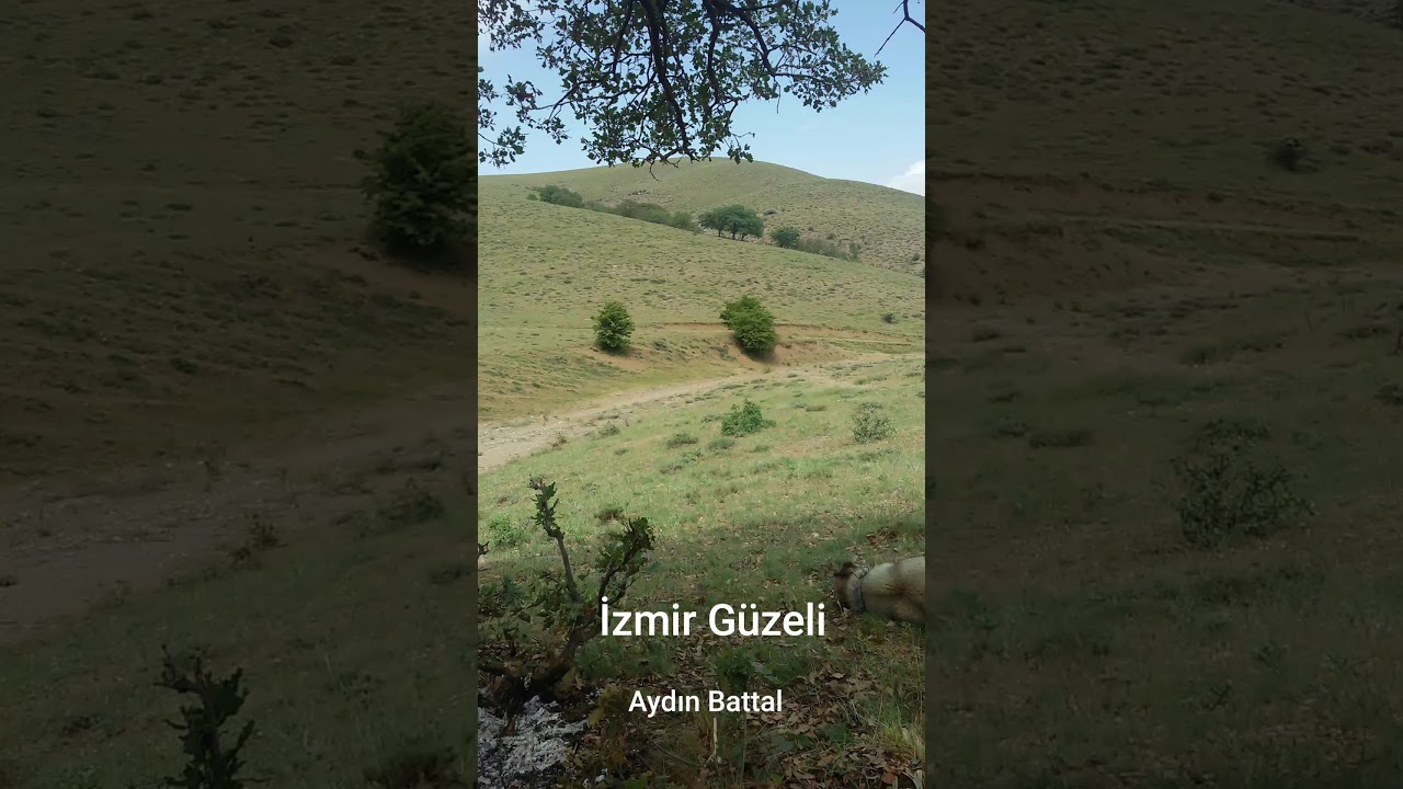 Aydın Battal - İzmir Güzeli