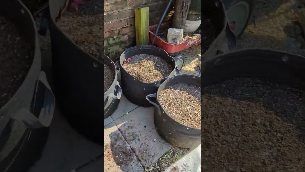 Preparing soil in fabric pots @whitestonedgrow