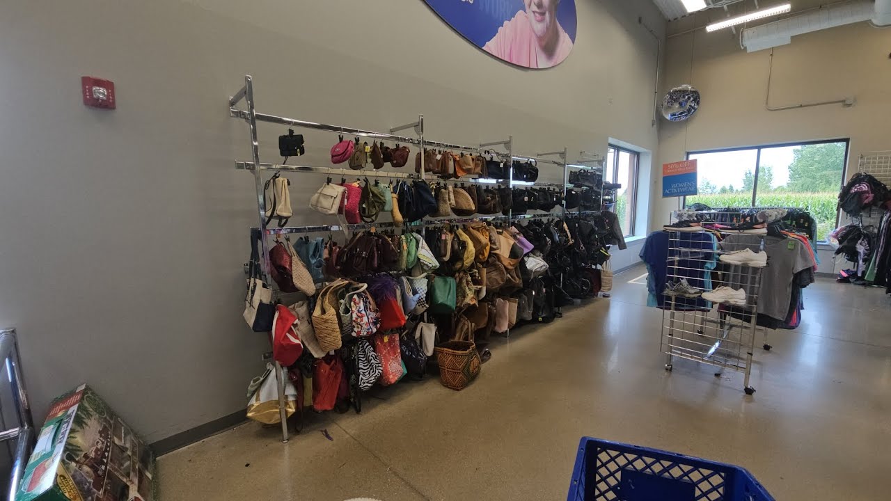 THRIFT with me at GOODWILL! Purses & Home Decor!