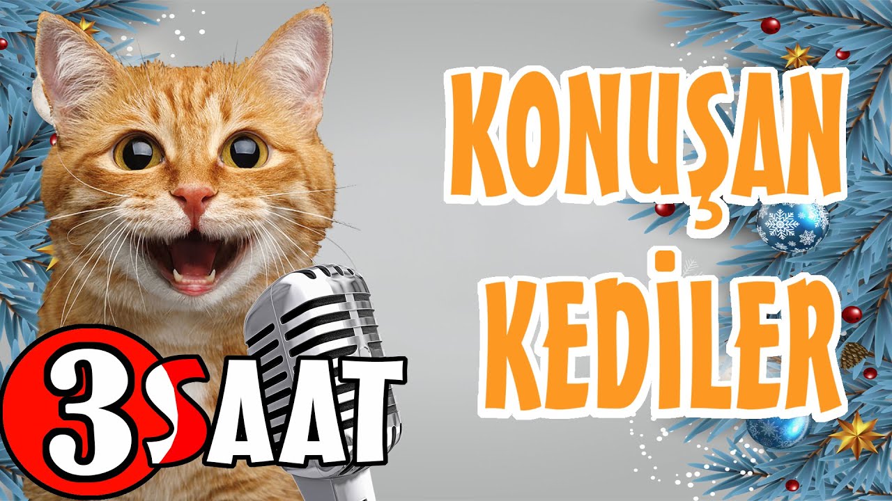 Konuşan Kediler 3 Saat - Sinema Tadında Komik Kedi Videoları