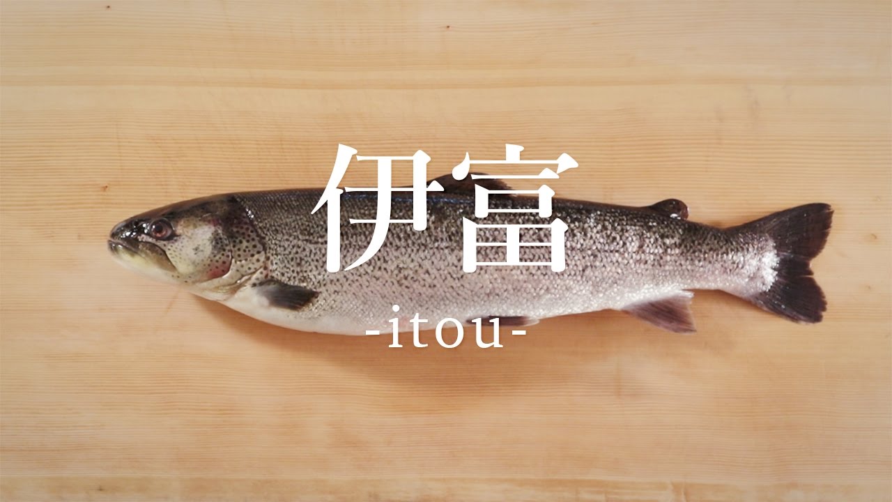 伊富（いとう）のさばき方 - How to filet Japanese Huchen -｜日本さばけるプロジェクト（海と日本プロジェクト）