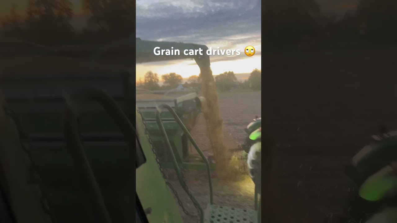 Grain cart driver #farming #agriculture #farm #farmlife #johndeere