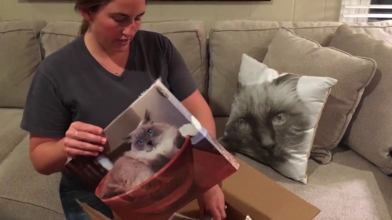 SnapBox Canvas Print and Photo Pillow Case Product Review Video - Floppycats