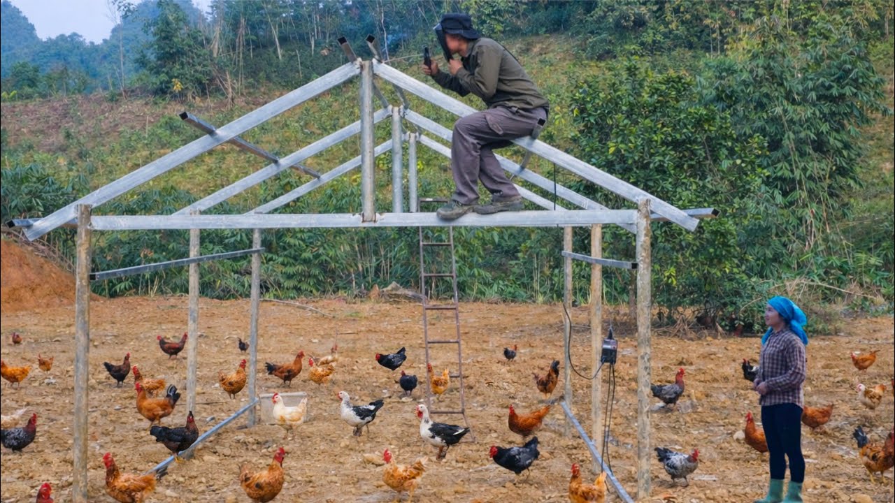 BUILDING A CHICKEN COOP: Watching Phan Phan's family work together will warm your heart.