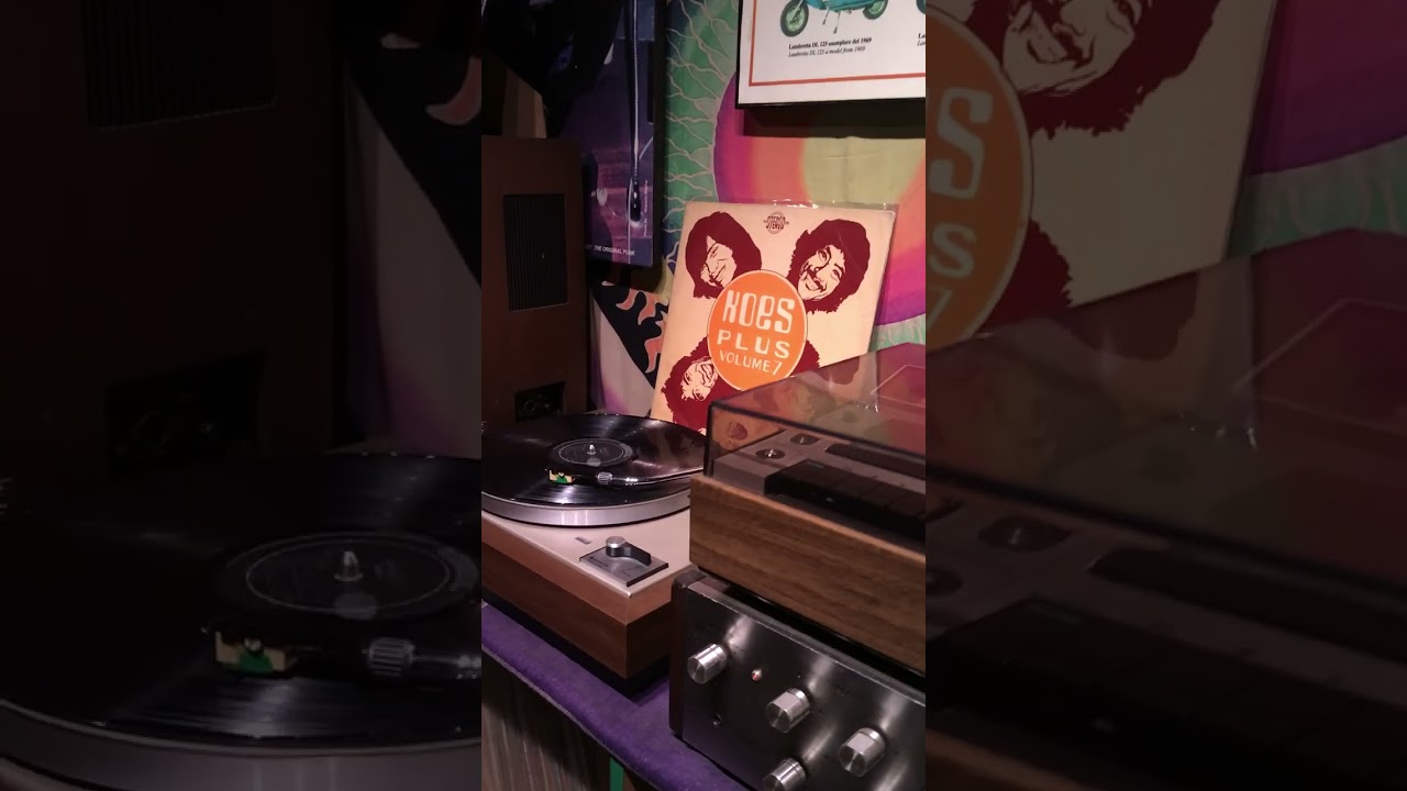 Vinyl / Piringan Hitam Koes plus - Pelangi ( IG : Lawasrecords.vol2 )