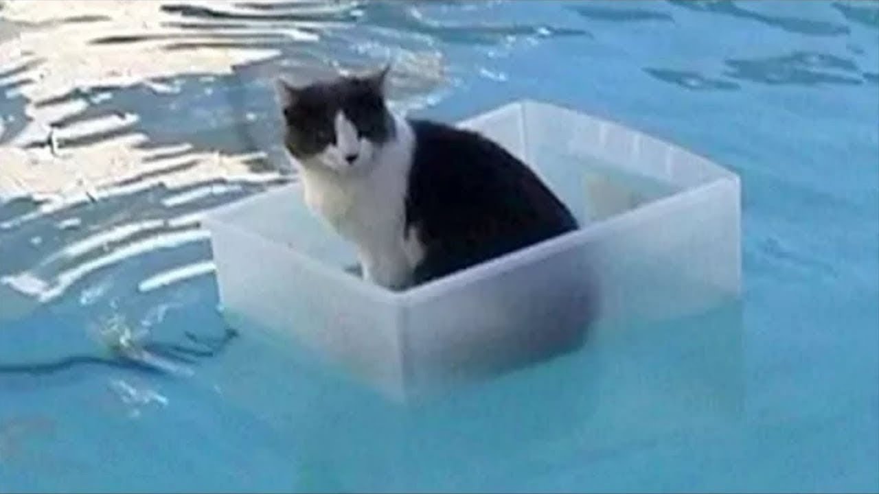 🔴 CHILL SAMBIL TEST INET STREAM~ | Light Modded Subnautica
