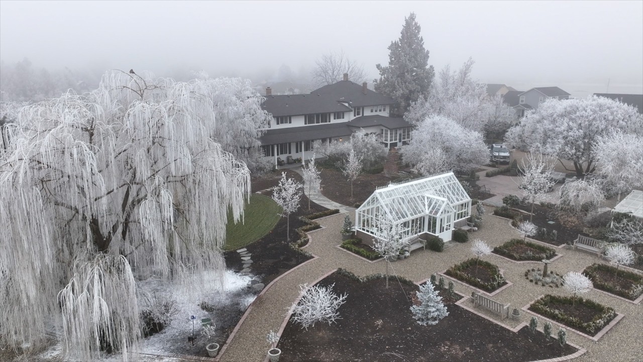 Our Frosty Winter Landscape. Enjoy! ❄️🥰❄️ // Garden Answer