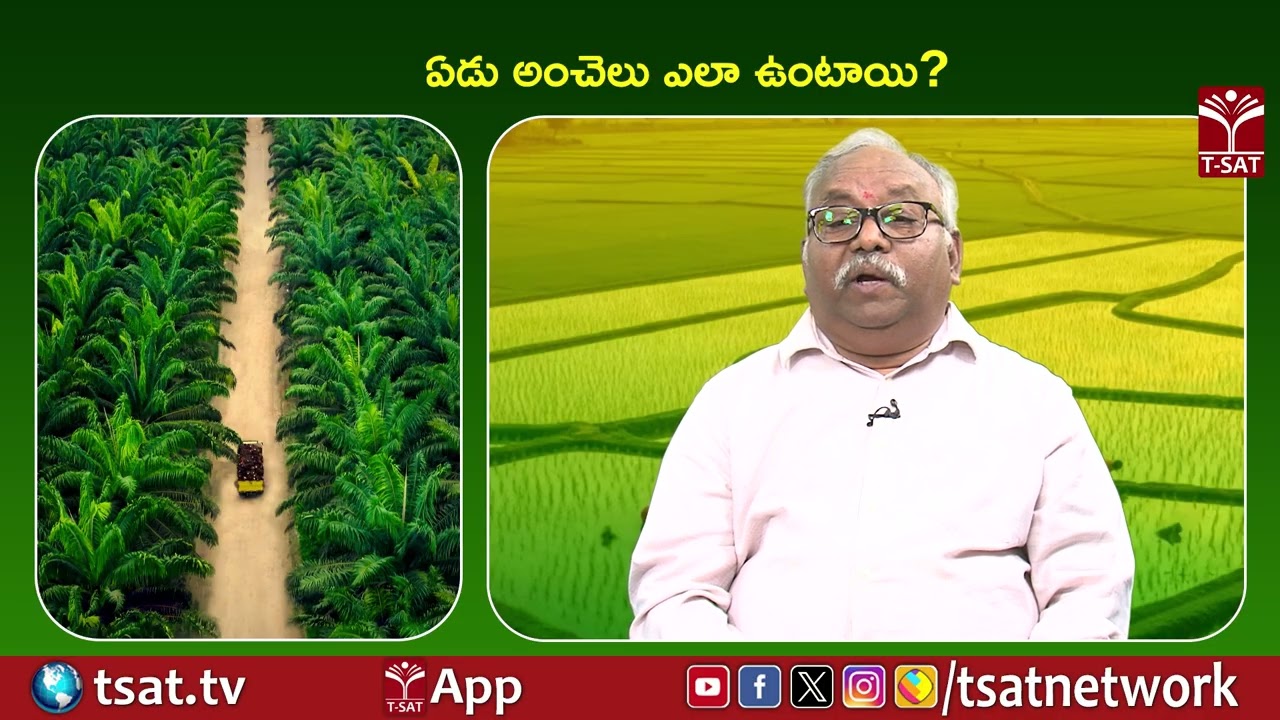 ఏడు అంచెలు ఎలా ఉంటాయి ? | T-SAT