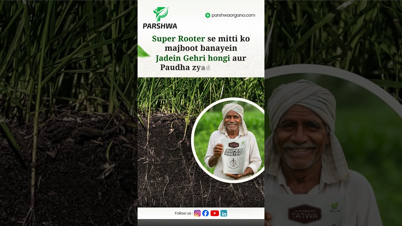 Super Rooter se mitti bane majboot