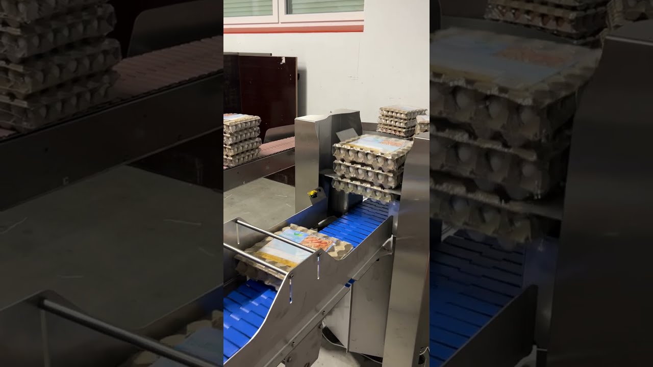 Tray stacker shrink-wrapped egg trays