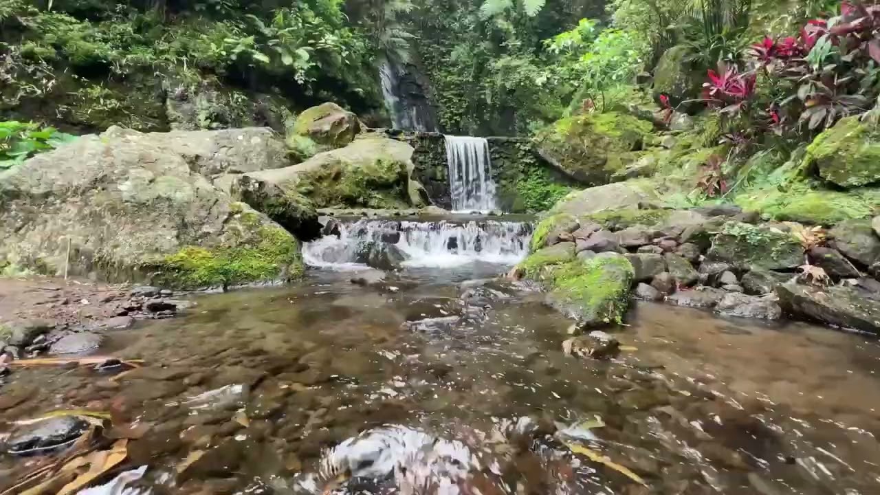 Nature's River Sounds: Calming and Relaxing 