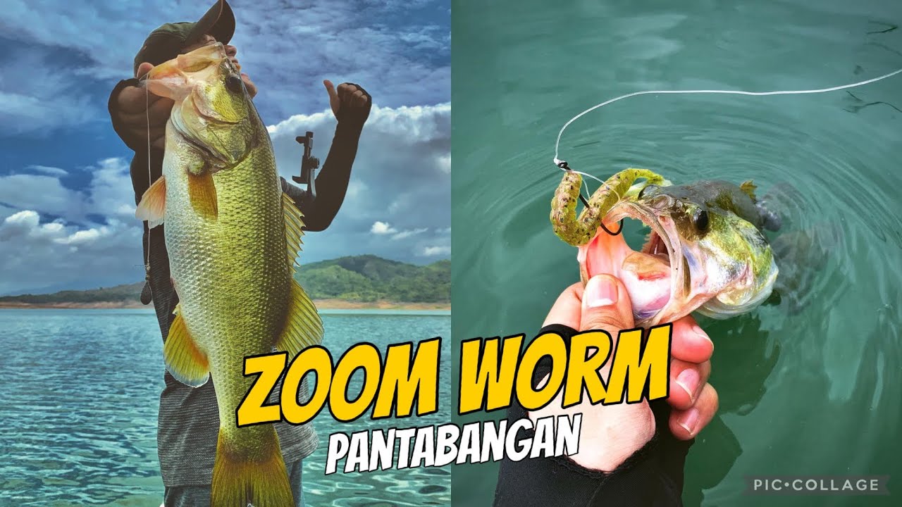 Largemouth Bass Fishing Philippines | Zoom Worm | 6 Landed