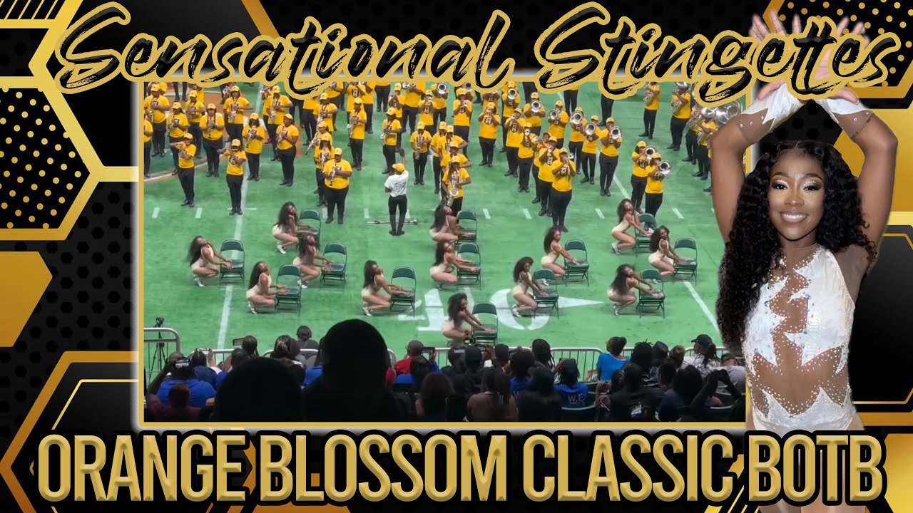 Orange Blossom Classic BOTB | Sensational Stingettes presentation 🖤💛