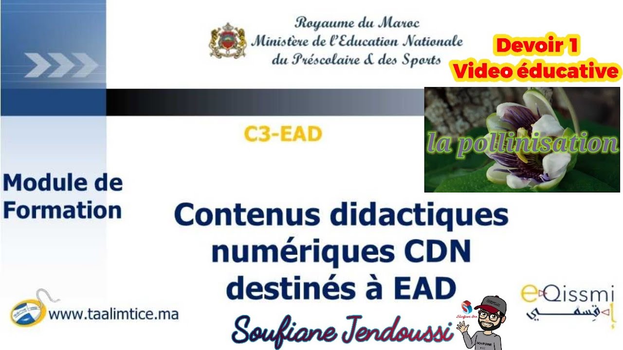 Contenu didactique numérique  : devoir 1  (  video éducative ) la pollinisation