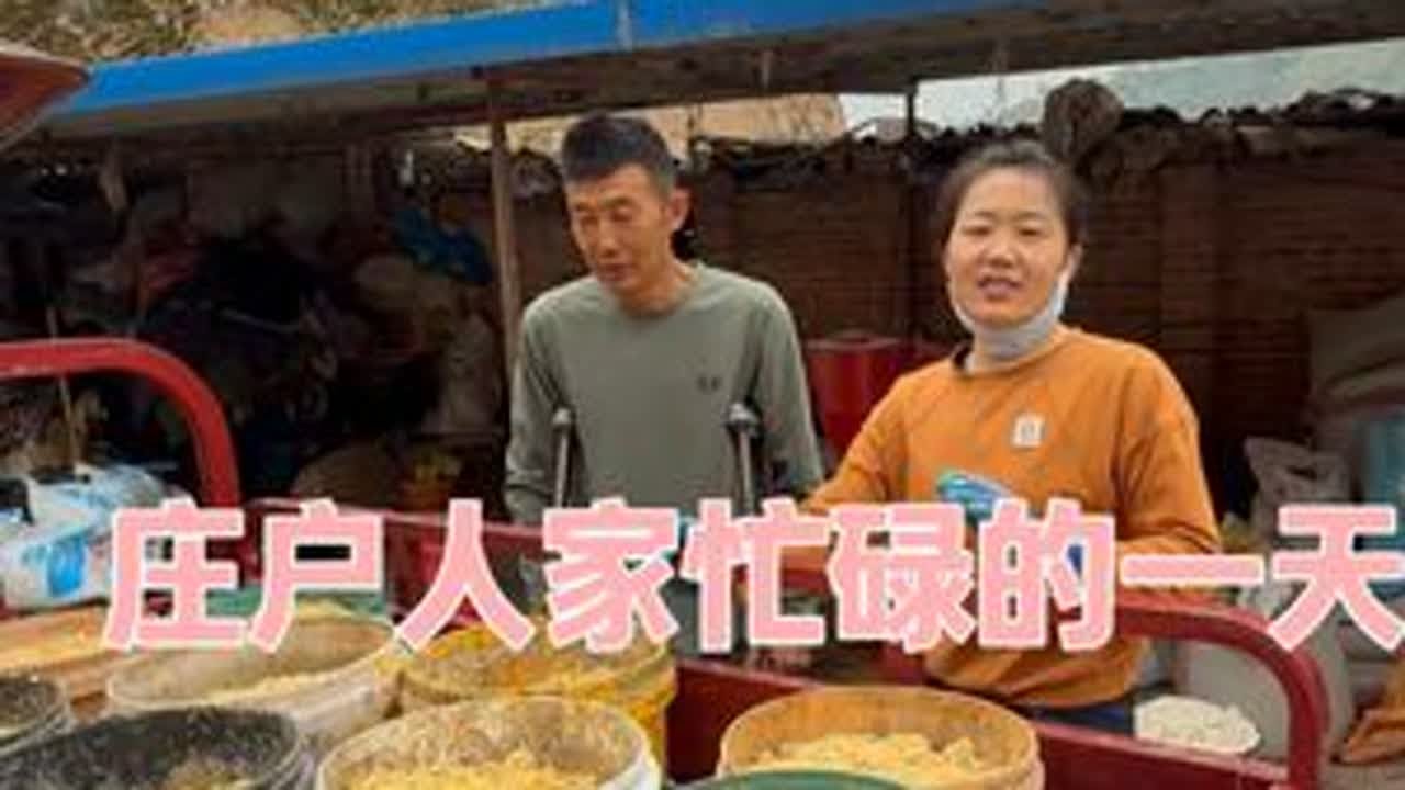 庄户人家忙碌的一天\今年羊喂的多，必须精心喂养，玉米粒与豆腐渣拌合，还得添加佐料食用盐与小苏打，这是羊儿们茁壮成长的保障。\忙碌完，海梅负责做饭，多时没有吃扯面了，今天又安排上了。每人一大碗，味