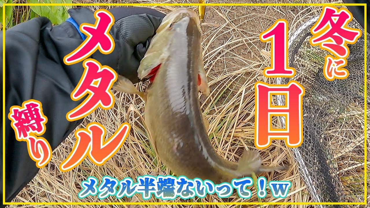 冬の霞水系にメタル全然投げない男が1日メタルだけで釣りしたらまさかだった…w【メタル縛り】