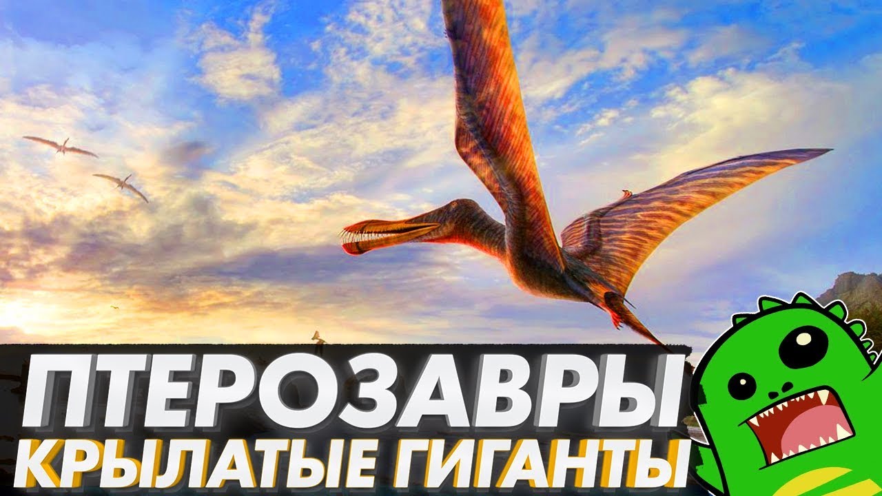 ПТЕРОЗАВРЫ &mdash; первые летающие ящеры планеты: кетцалькоатль, птеранодон, птеродактиль и рамфоринх