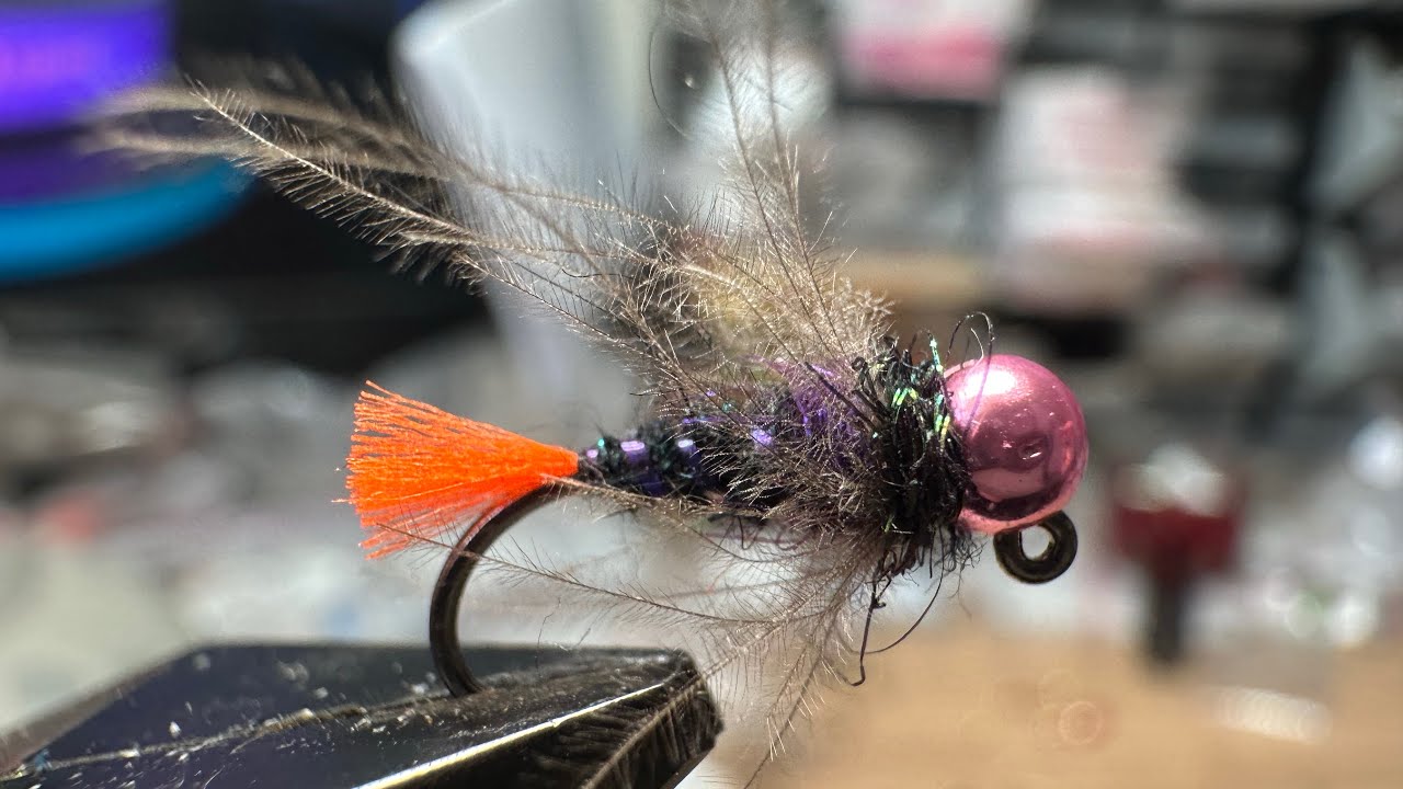 Orange tag nymf